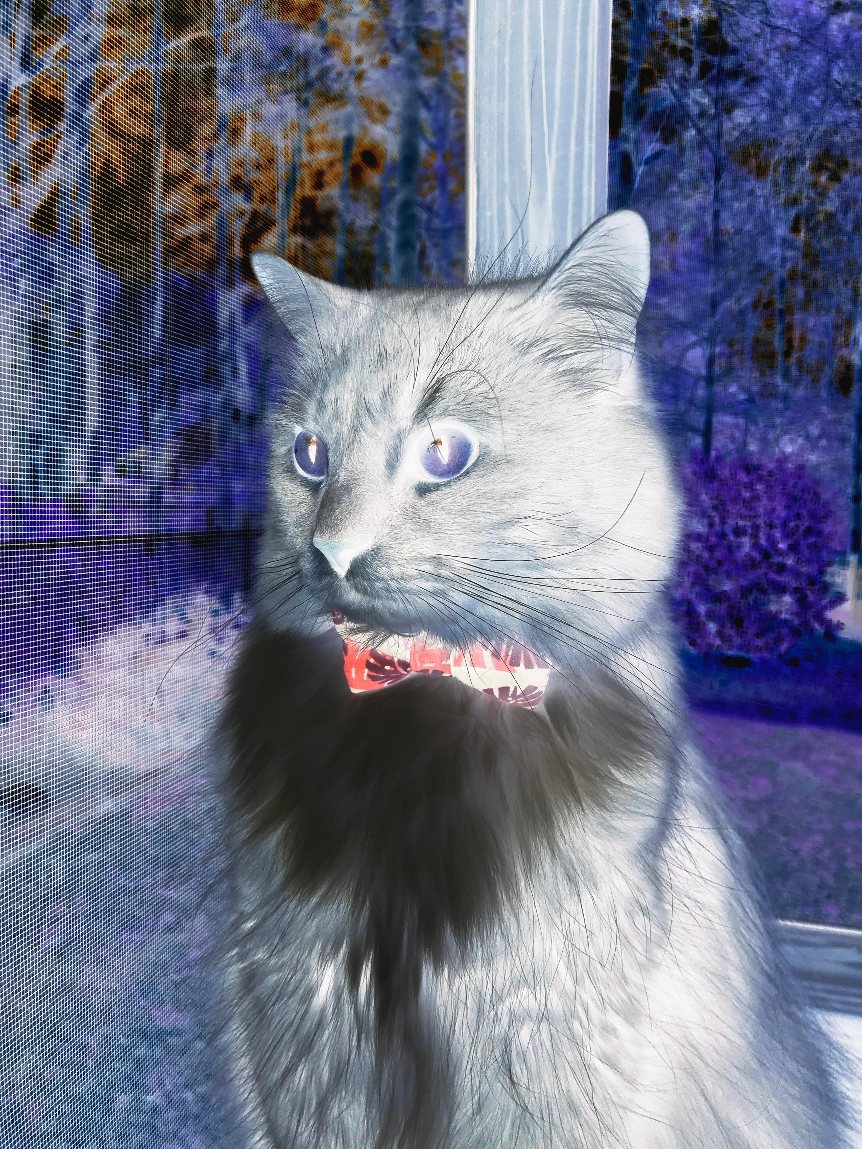 意甲球队纷纷推出公益行动，彰显社会责任，意甲赞助