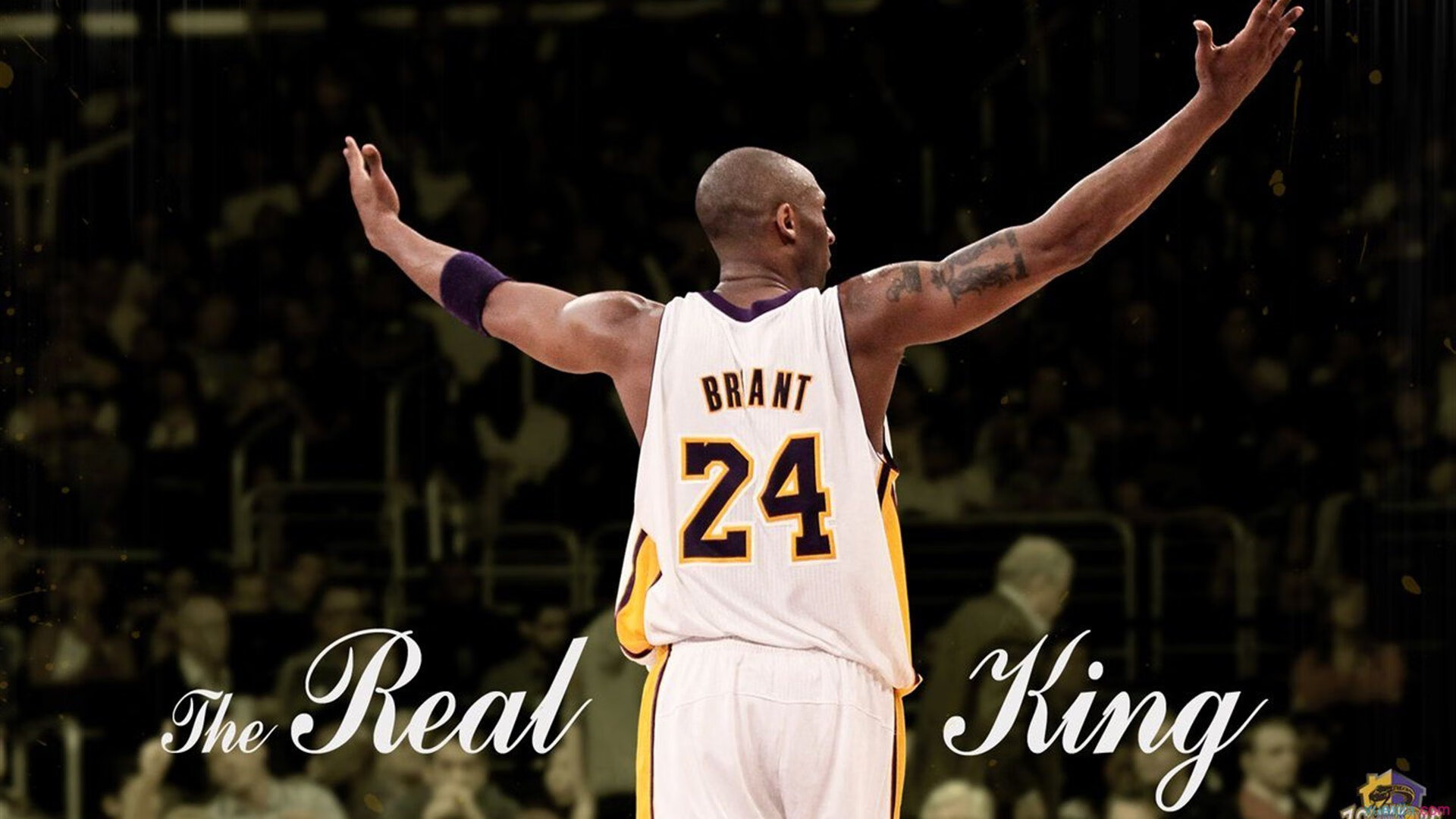 公牛小将突破能力明显提升展现潜力,公牛新品