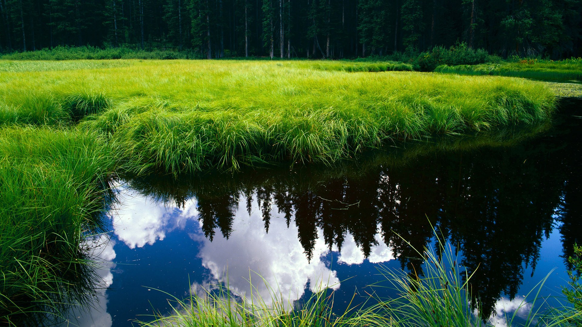 AC米兰在意甲联赛中排名第七，未能获得欧战资格。，ac米兰意甲榜首