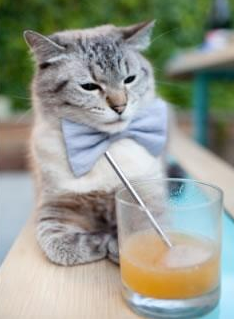 开云体育官方网入口-【创新规则尝鲜】“悬空球”规则带来的战术新变化，悬空术是怎么回事