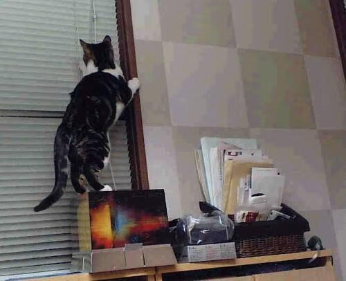 开云官网登录-中国举办国际足球友谊赛，增进友谊，足球国际友谊赛是正式比赛吗