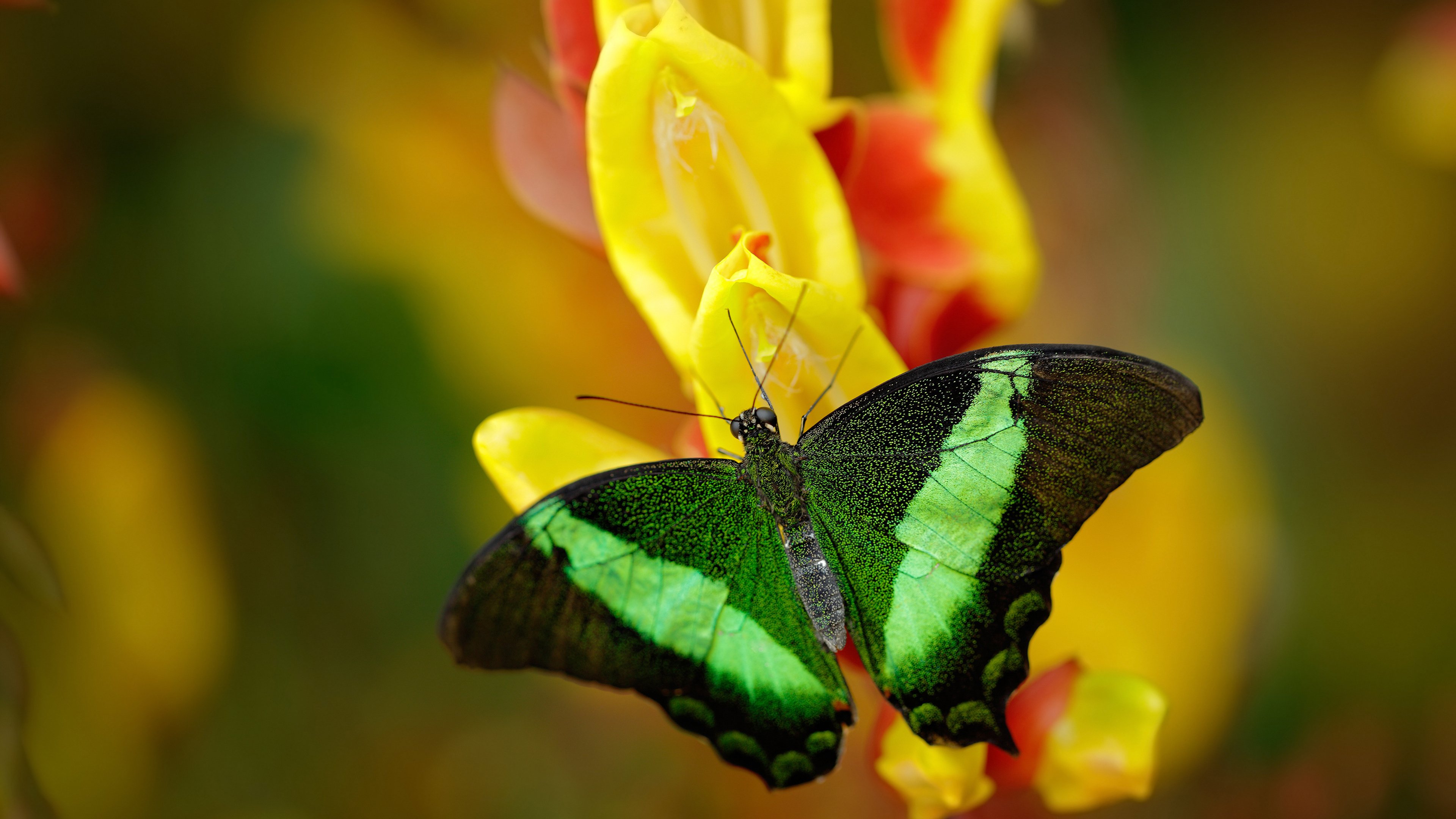 开云全站-依托大数据技术提升赛场战术分析能力，依托大数据平台