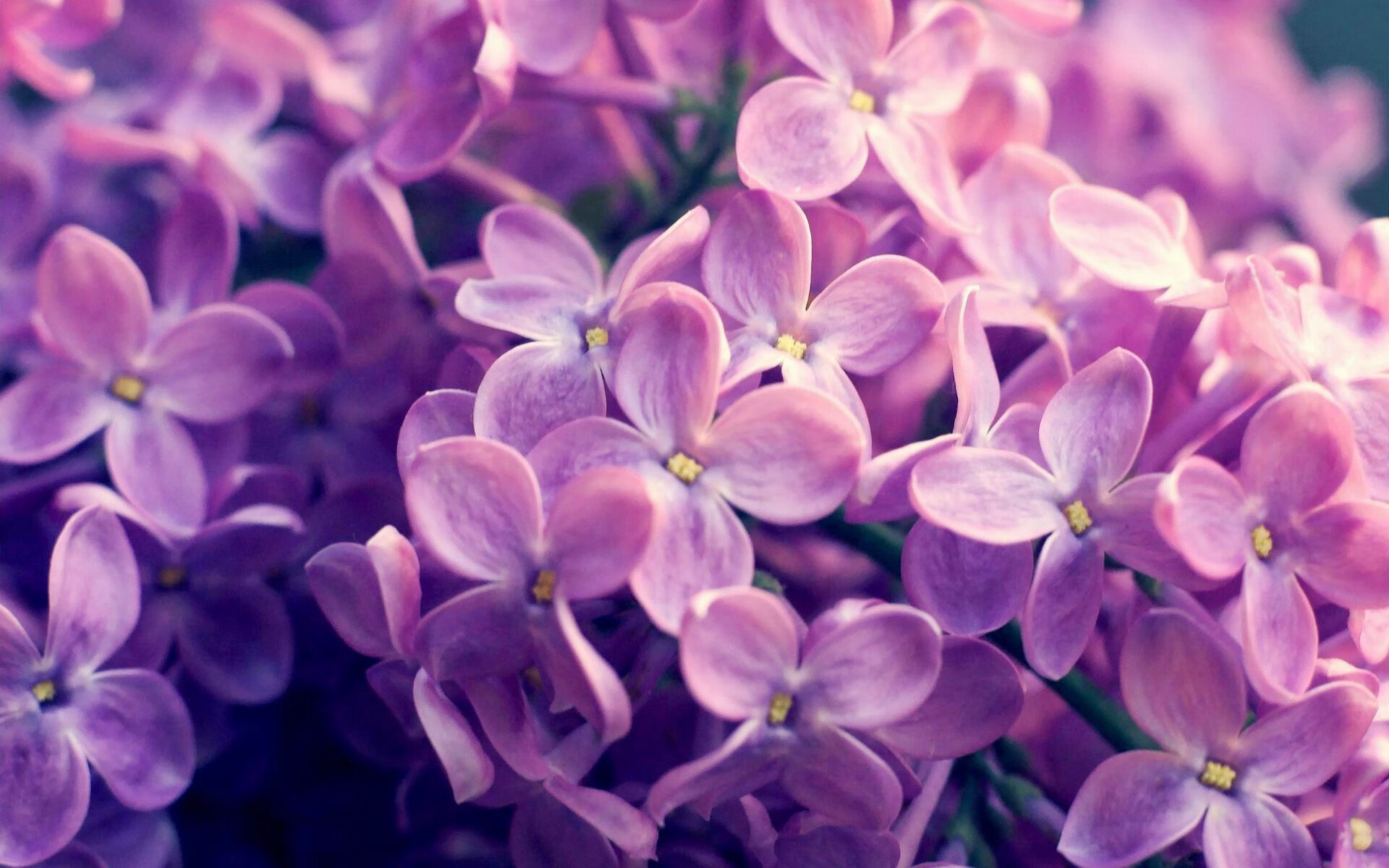 kaiyun电竞-新赛季新气象：球队阵容变化揭秘，新赛季球员排名