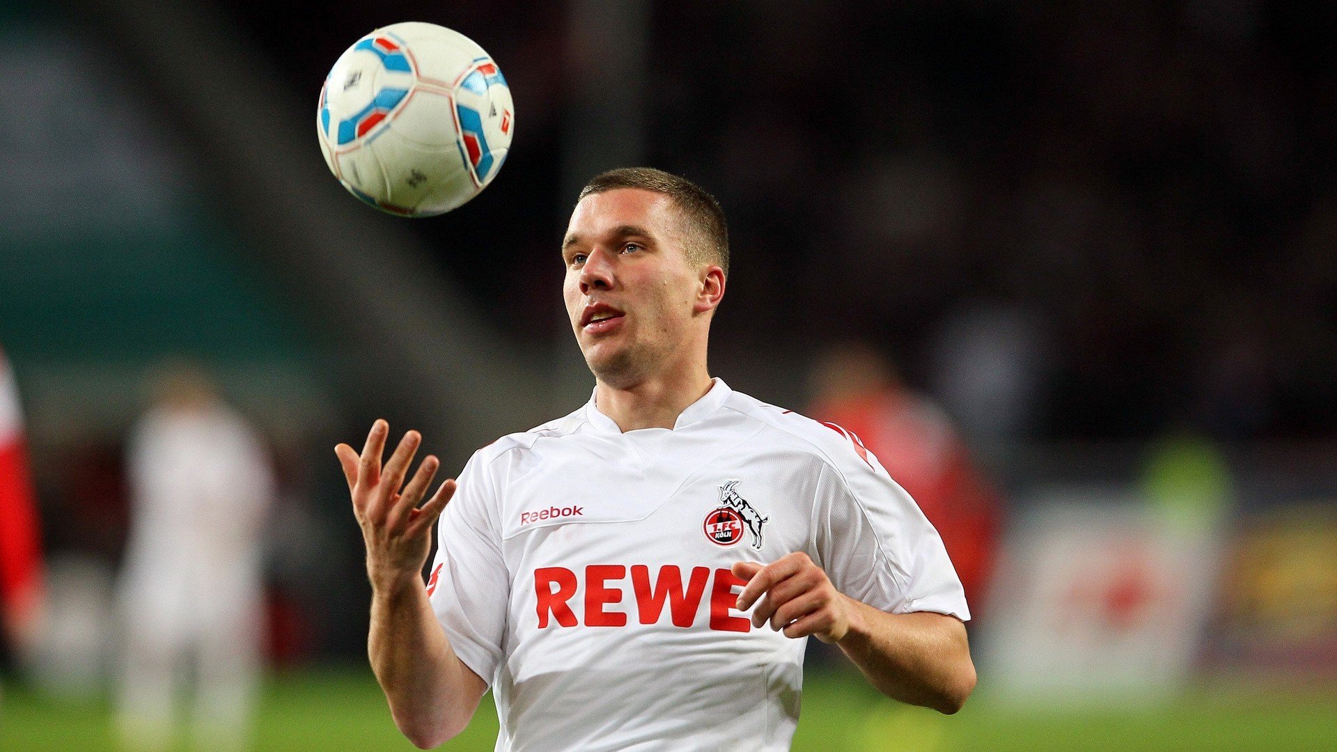 波兰泳坛骄傲赫梅列夫斯基奋勇拼搏，波兰诗人赫伯特